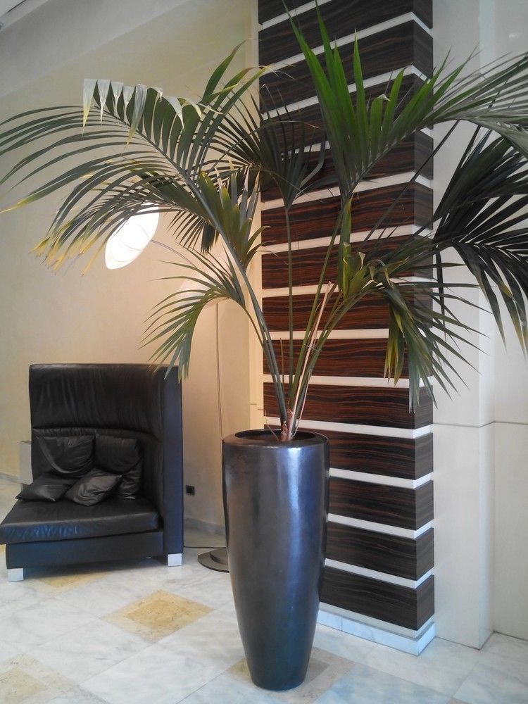 Hotel Papillo & Rom
